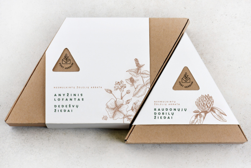 VTDK baigiamuoju darbu K. Ašvicė pelnė pasaulinio lygio įvertinimą