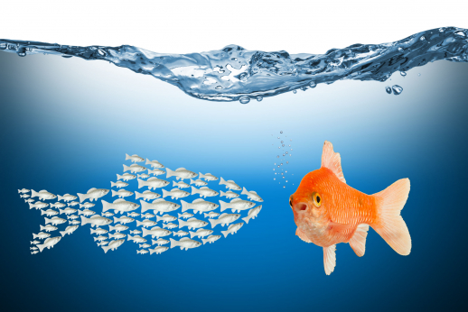 7 įdomios ir gerai apmokamos profesijos kūrybiškoms asmenybėms