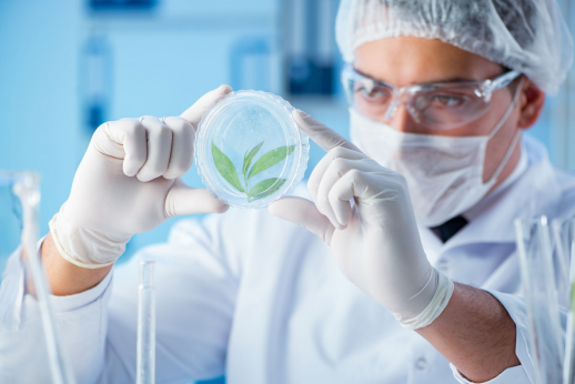 Biologijos egzaminas. Ką spėsite nuveikti per likusį mėnesį