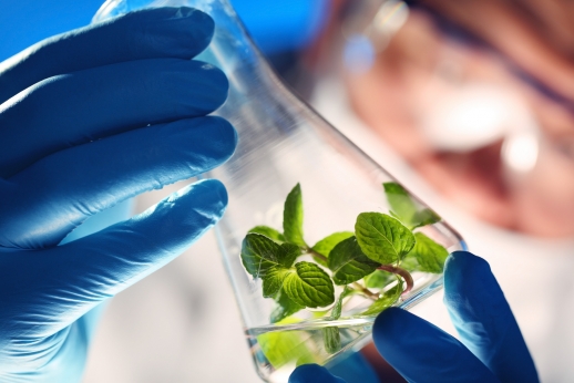 Pažangios VDU biotechnologijos studijos
