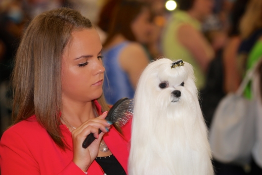 Studentė rado būdą, kaip bendrauti su keturkojais