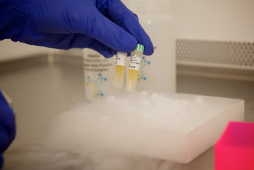 Biotechnologams – globalios rinkos darbo galimybės